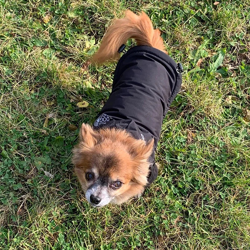 Impermeável velo impermeável para cães pequenos e médios, pet coat, roupas reflexivas, casacos para cachorros quentes, roupas chihuahua, inverno