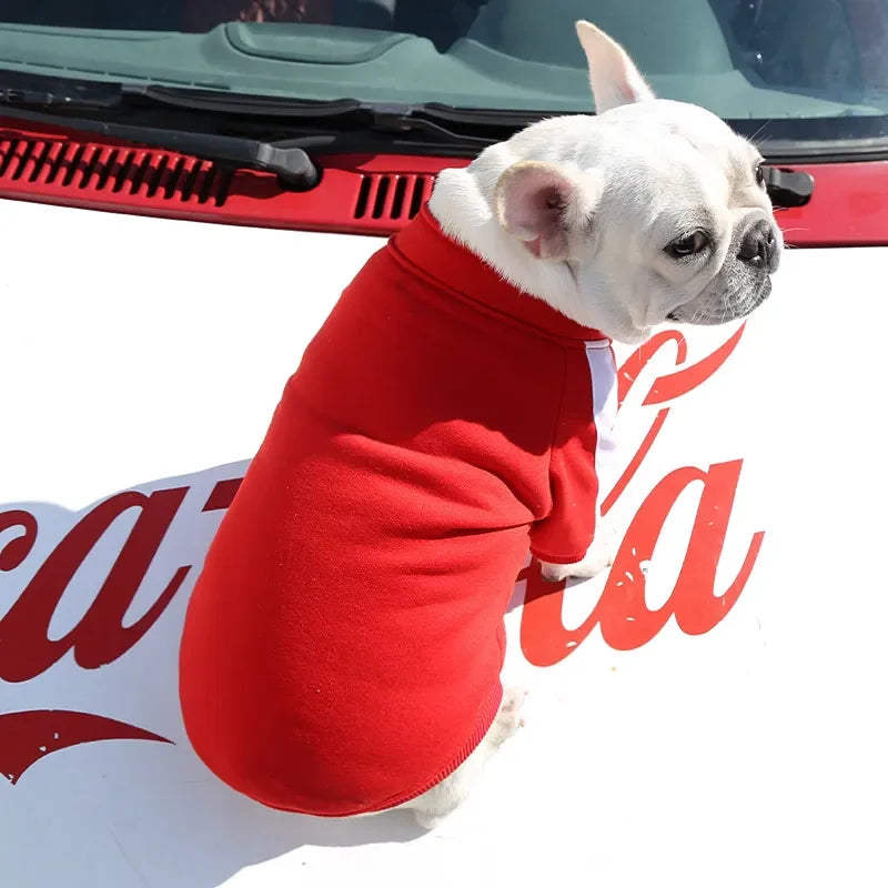 Camisola Esportiva de Veludo com Zíper para Animais, Cães e Gatos Pequenos e Médios, Casaco Lazer, Buldogue Francês, Plus