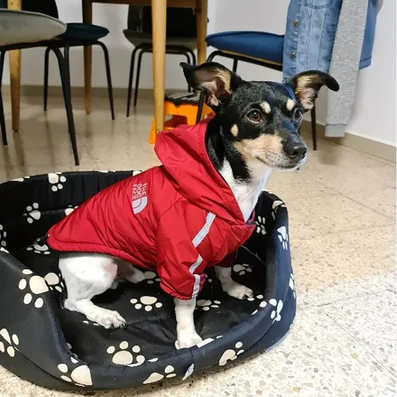 Impermeável velo impermeável para cães pequenos e médios, pet coat, roupas reflexivas, casacos para cachorros quentes, roupas chihuahua, inverno