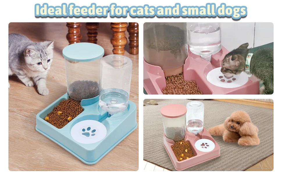 Alimentador automático Cat e Dispenser Set, 2 em 1, Tilted Pet Food e Alimentador de água, Gravity Feeder e Waterer