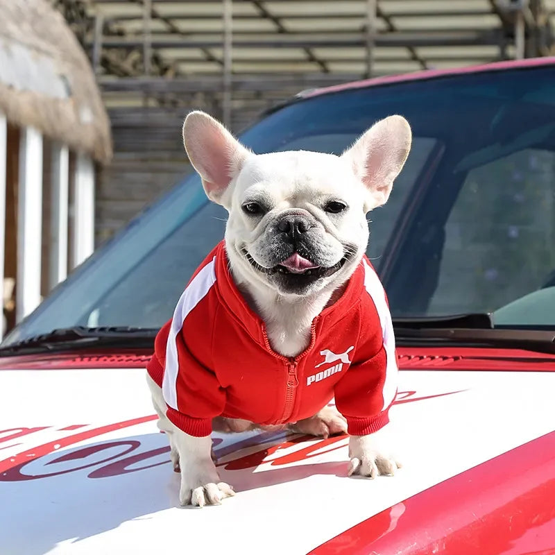 Camisola Esportiva de Veludo com Zíper para Animais, Cães e Gatos Pequenos e Médios, Casaco Lazer, Buldogue Francês, Plus