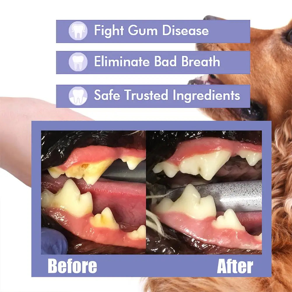 30ml pet spray cão cuidados orais mau hálito limpeza dos dentes pet ambientador fornecimento desodorante placa cuidados removedor respiração acessórios para animais de estimação