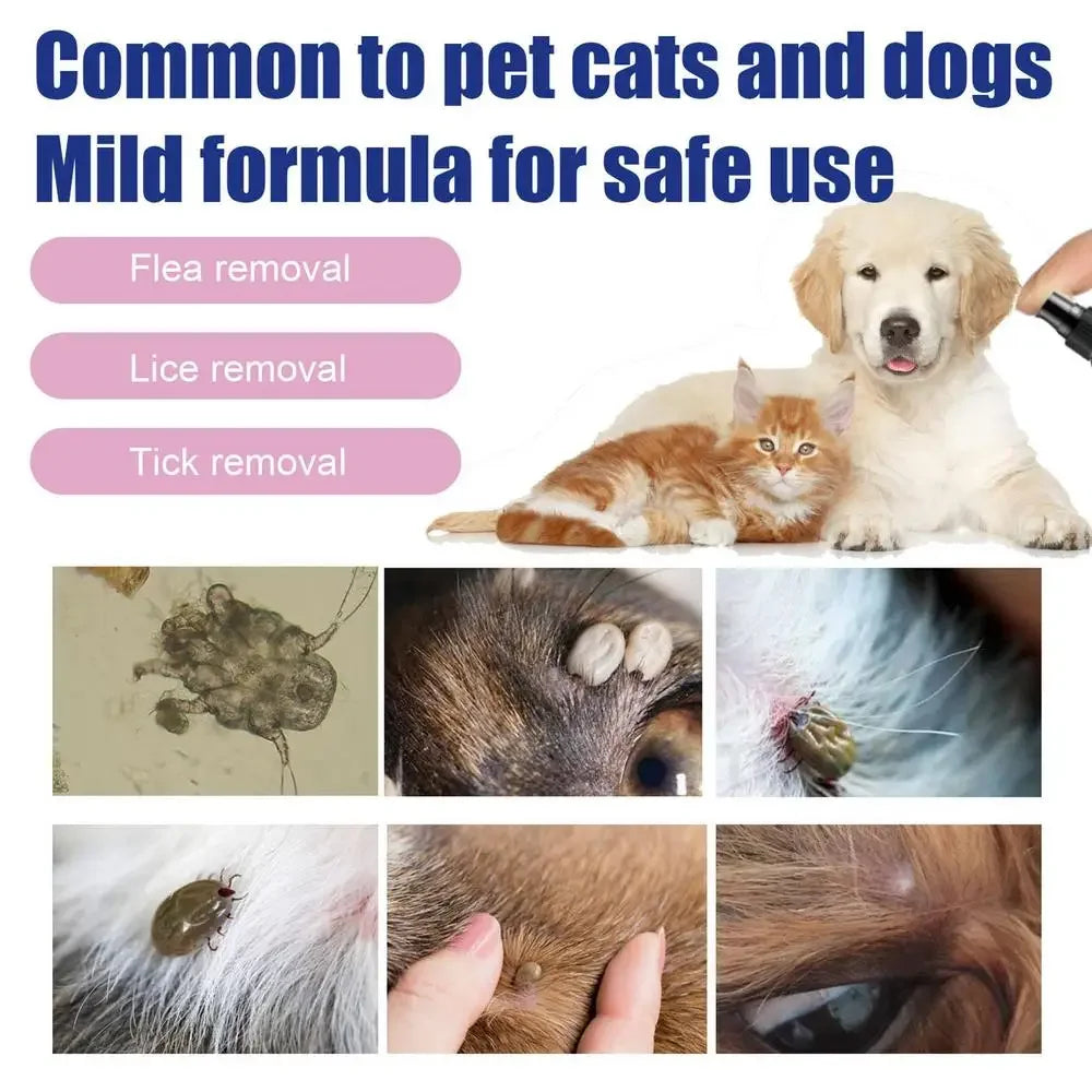 100ml pet cão gato anti pulga gotas inseccida piolhos inseto seguro para casa e gatos cães evitar carrapatos