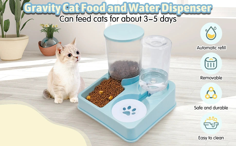 Alimentador automático Cat e Dispenser Set, 2 em 1, Tilted Pet Food e Alimentador de água, Gravity Feeder e Waterer